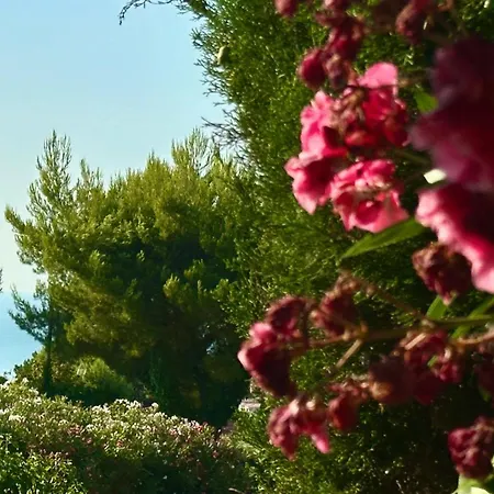 Apartment N183 - Numana, Nuova Villetta Con Giardino Numana